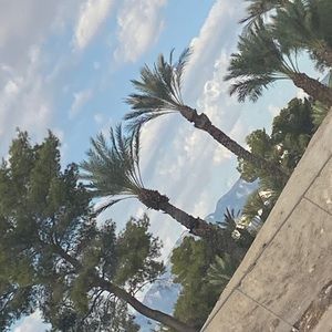 Meet your Posher, Johnisha